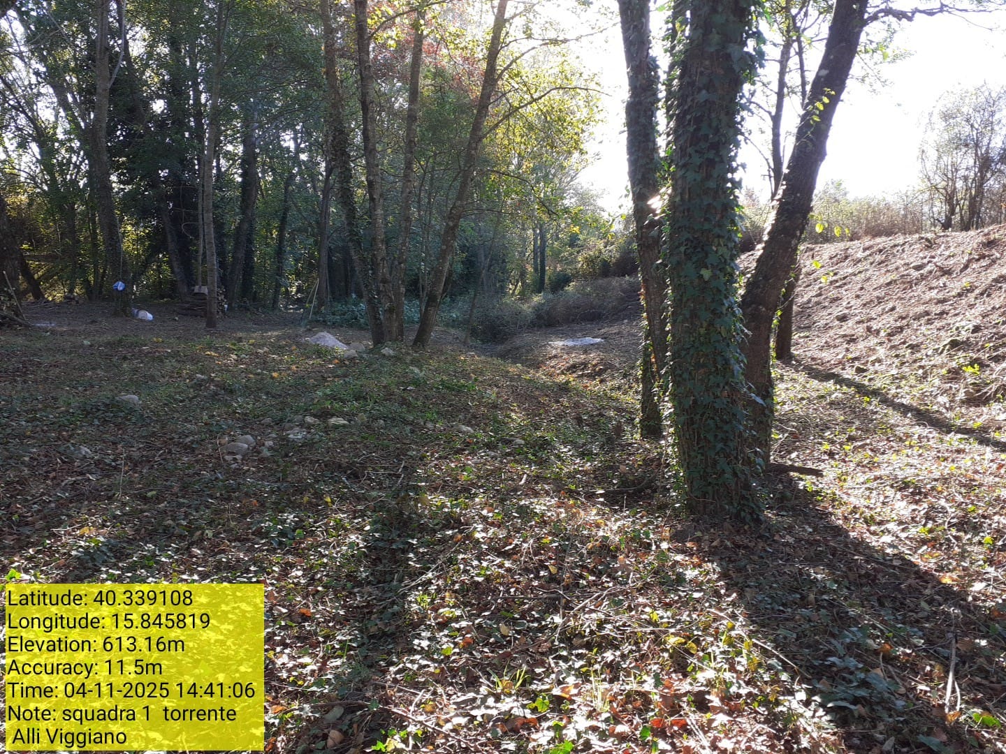 Galleria Fotografica Immagine