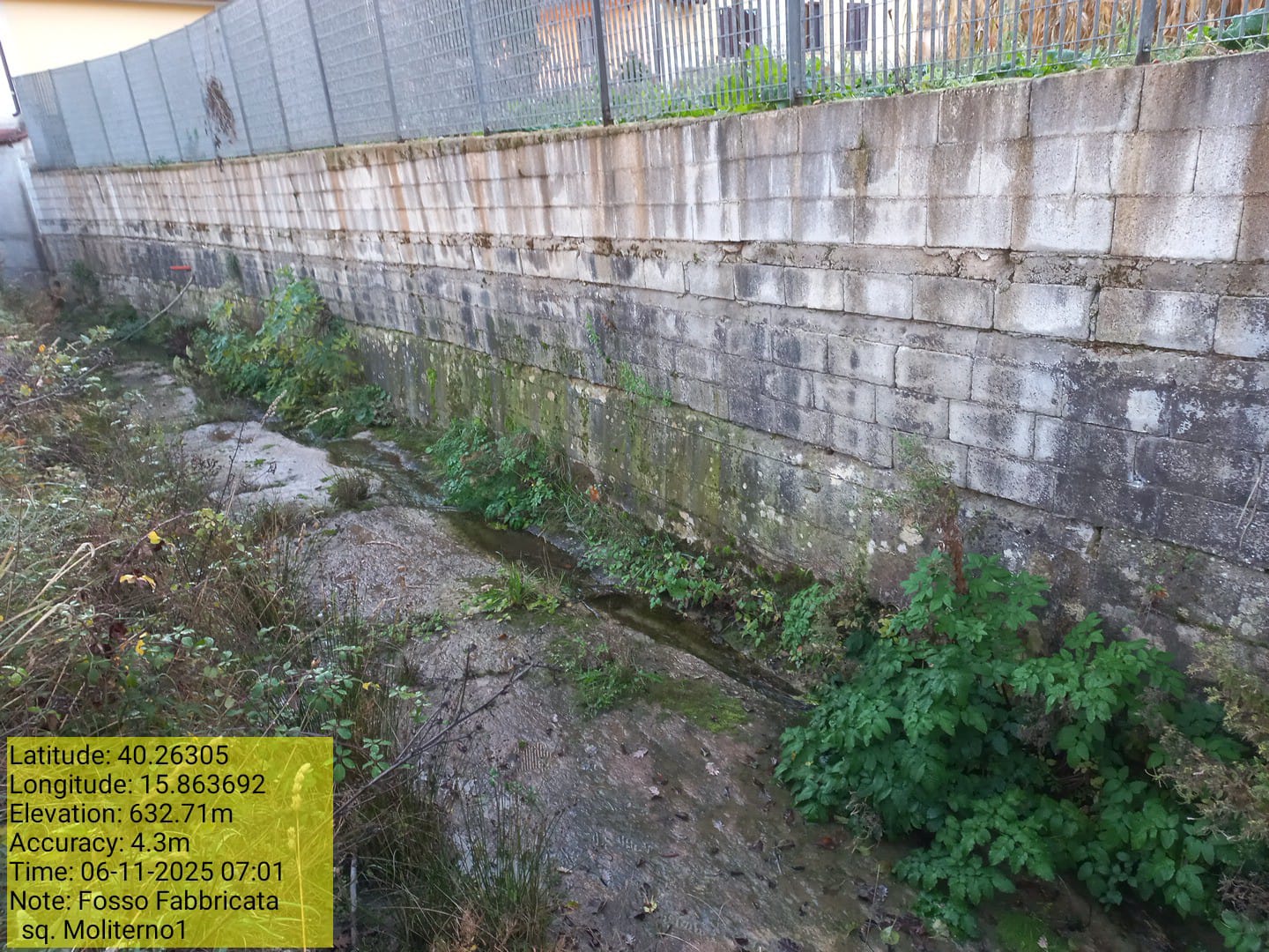 Galleria Fotografica Immagine