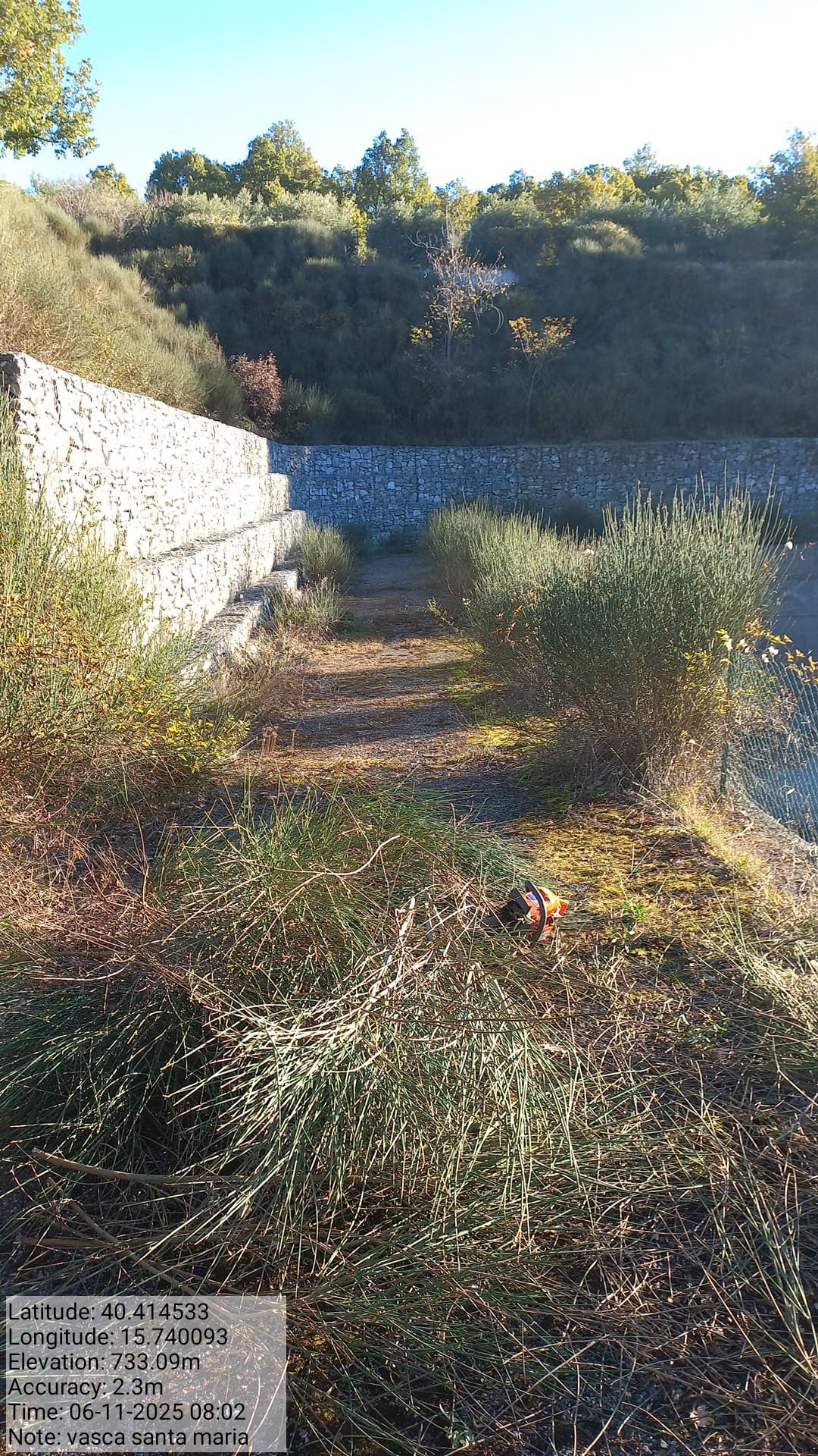 Galleria Fotografica Immagine