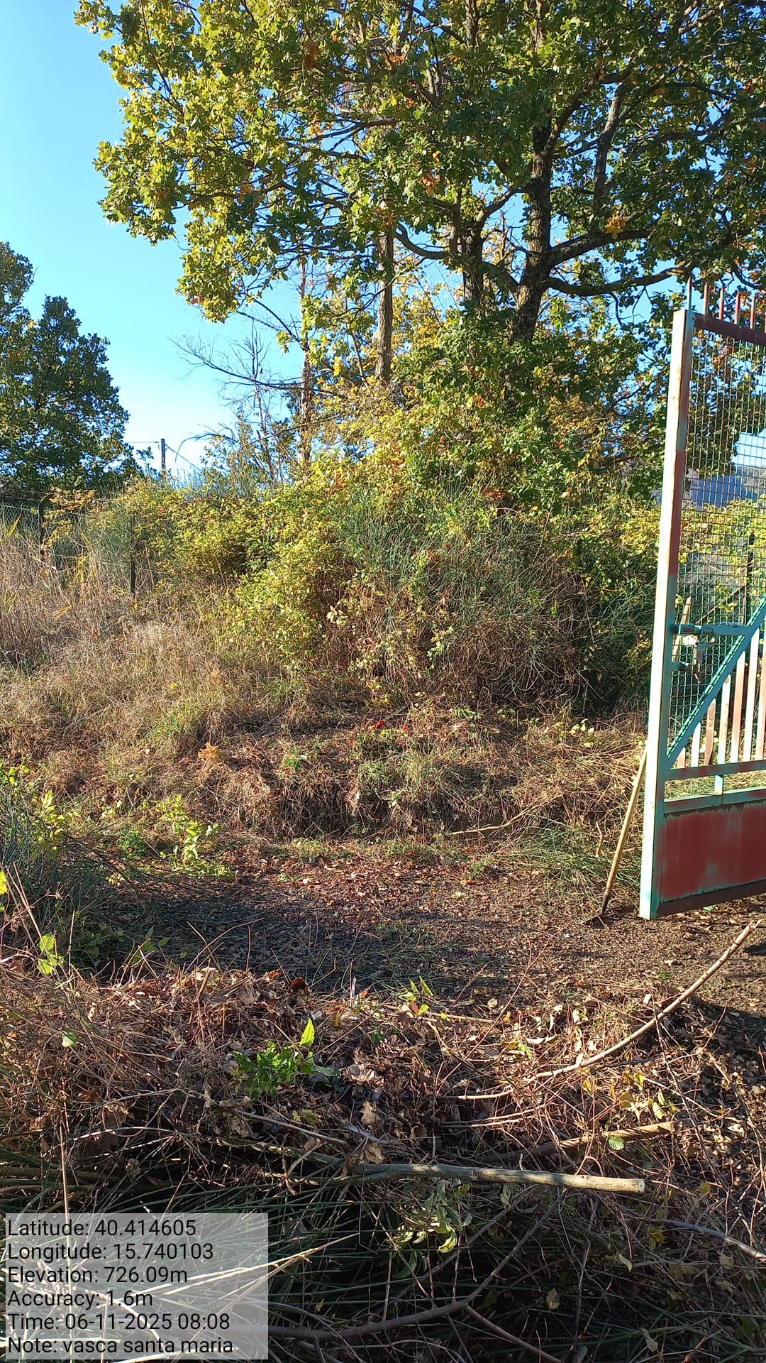 Galleria Fotografica Immagine