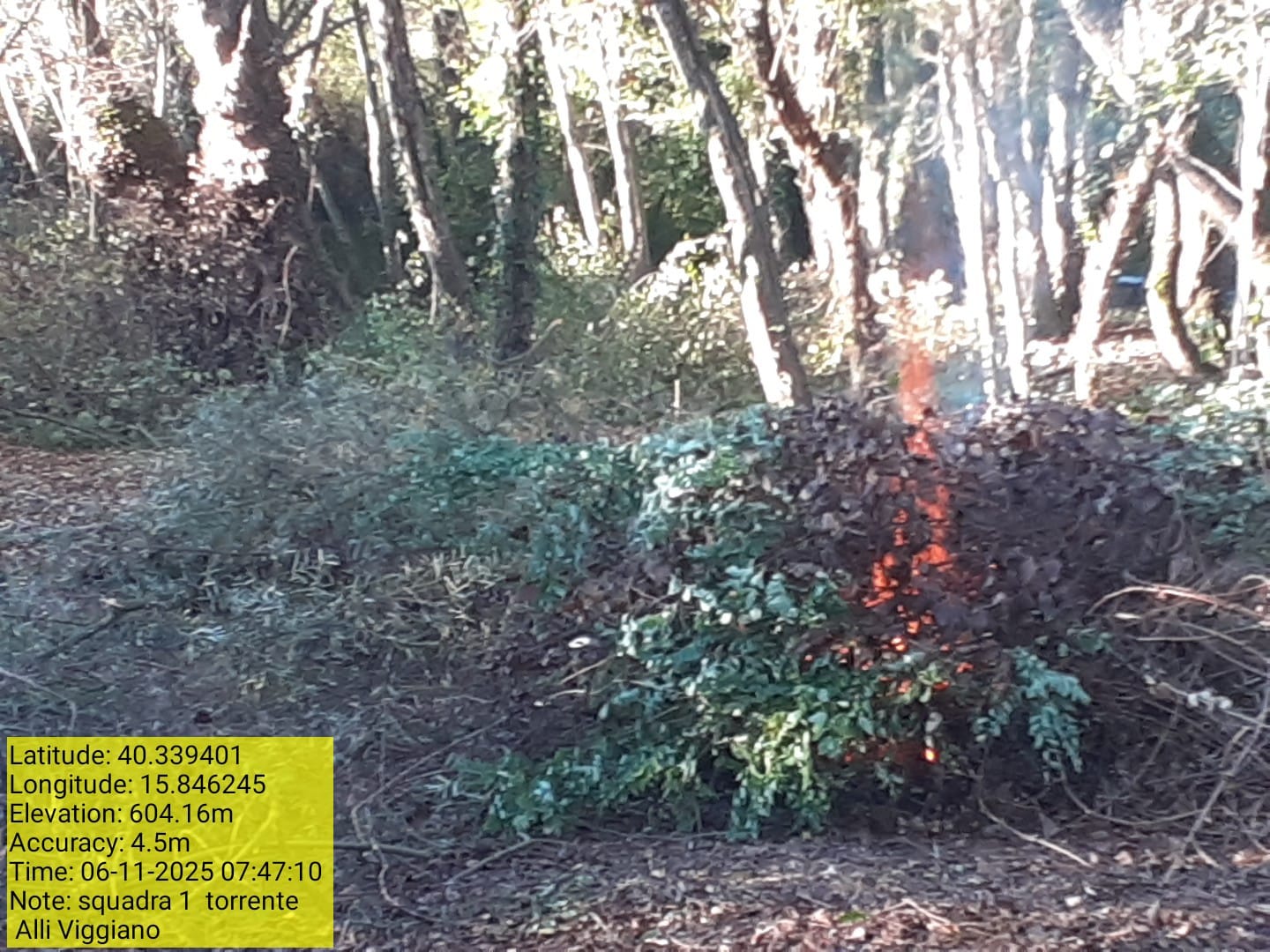 Galleria Fotografica Immagine