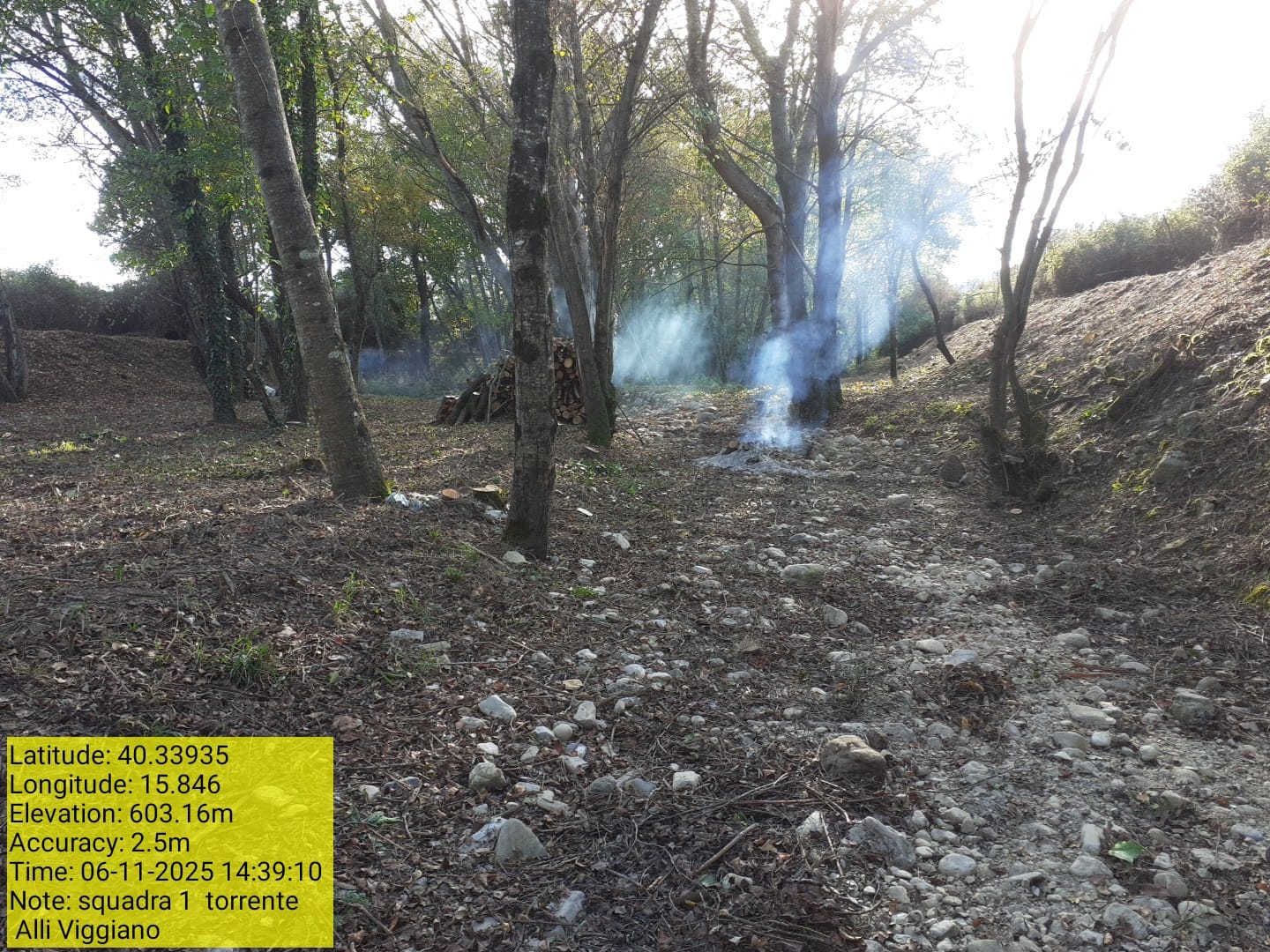 Galleria Fotografica Immagine