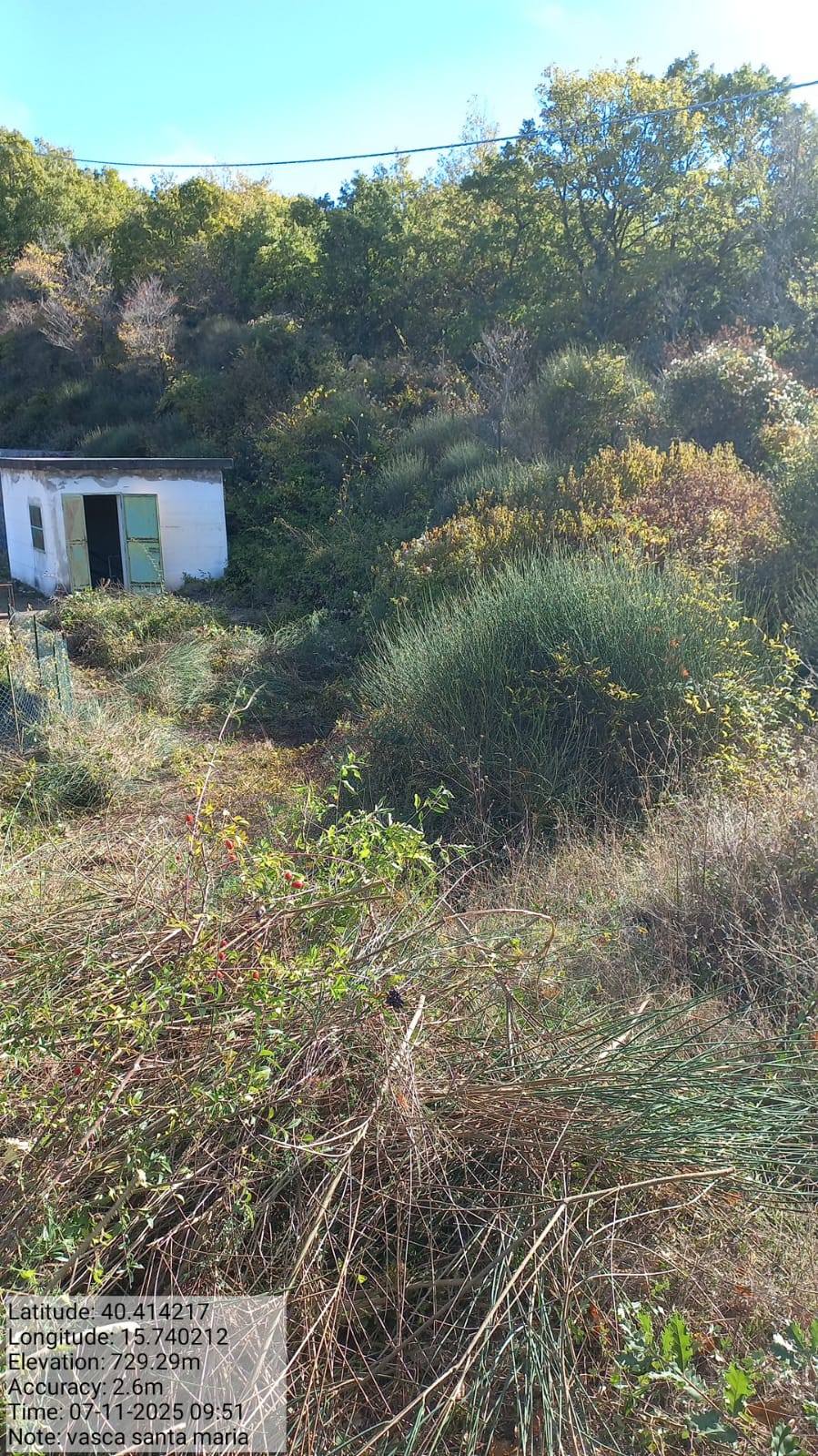 Galleria Fotografica Immagine