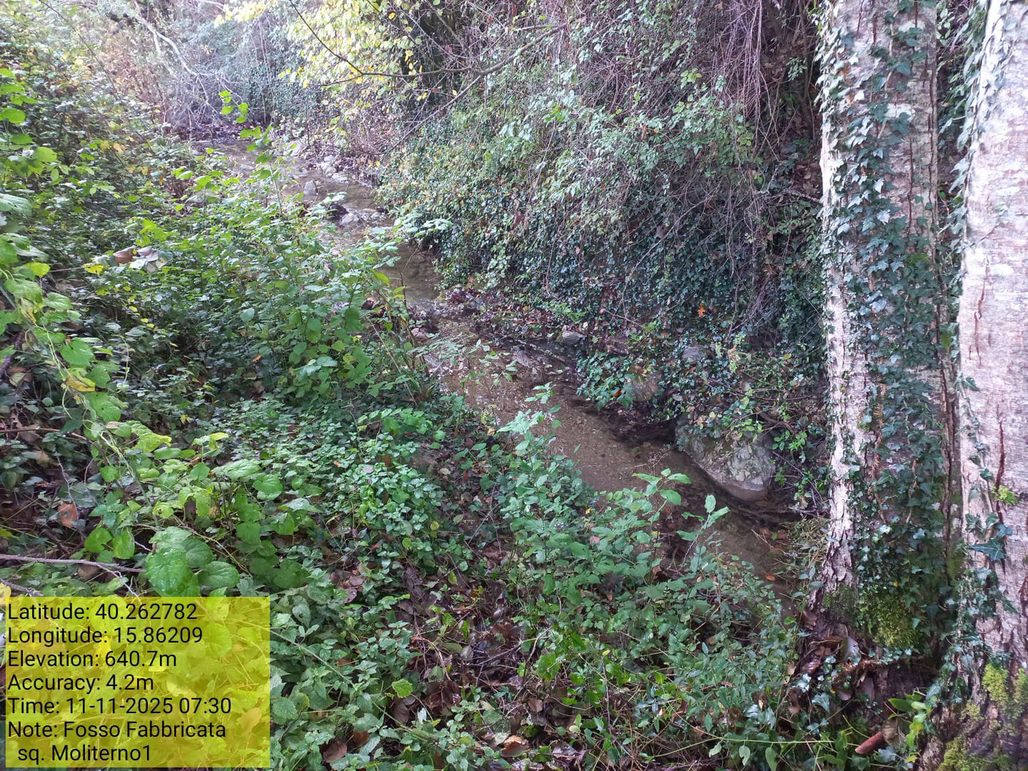 Galleria Fotografica Immagine