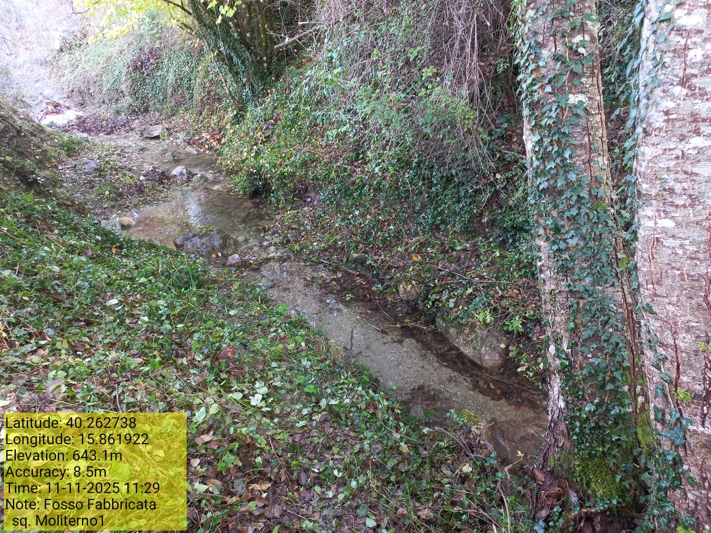 Galleria Fotografica Immagine