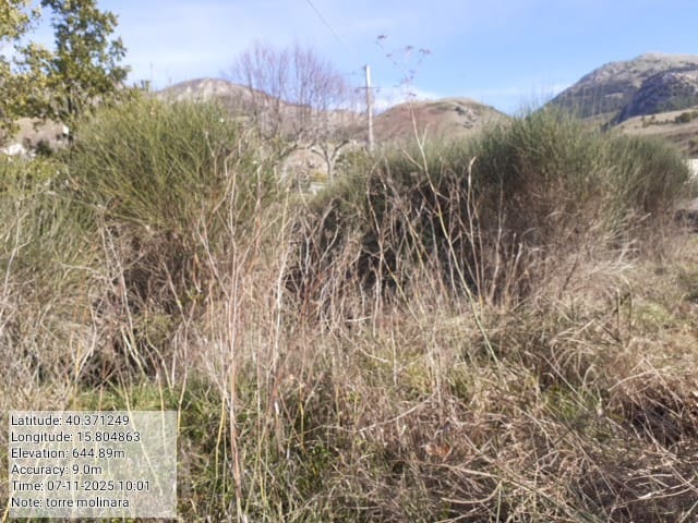 Galleria Fotografica Immagine