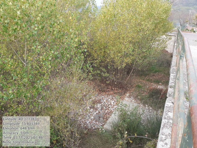 Galleria Fotografica Immagine