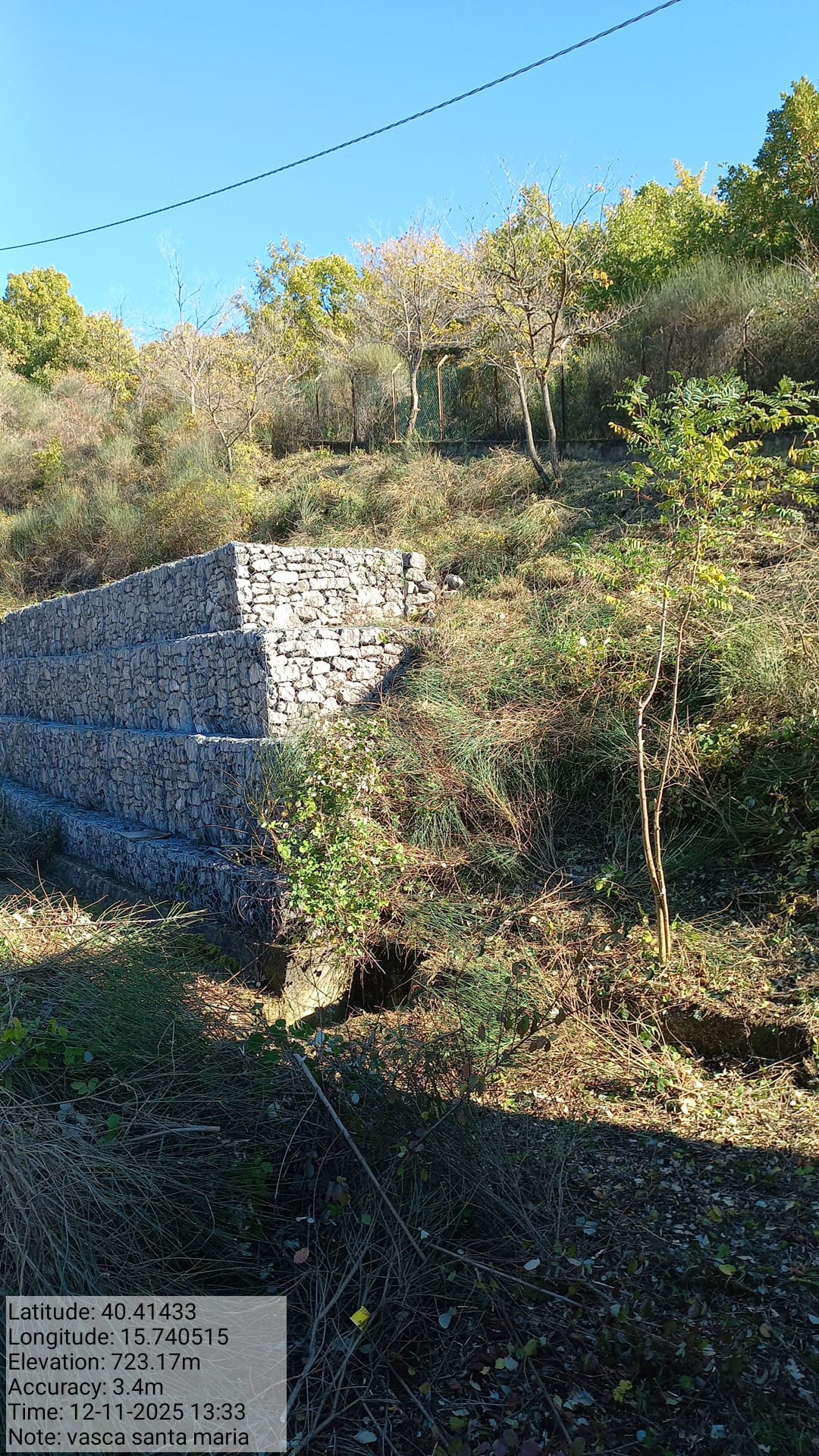 Galleria Fotografica Immagine