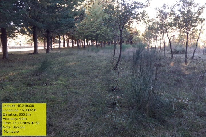 Galleria Fotografica Immagine