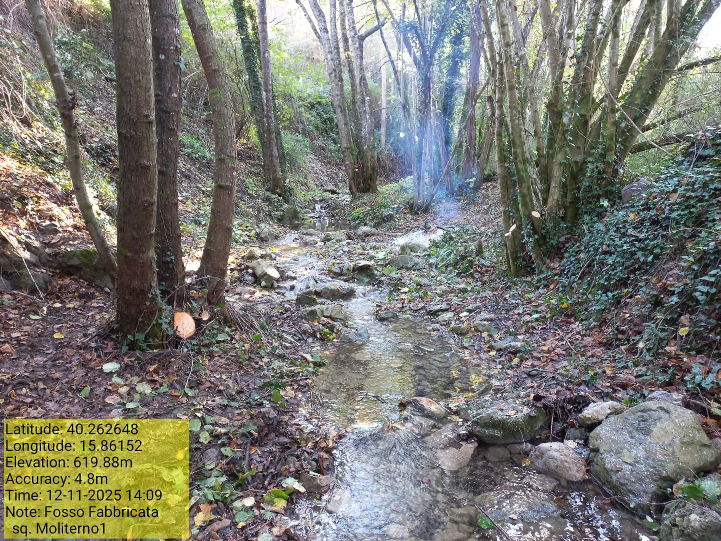 Galleria Fotografica Immagine