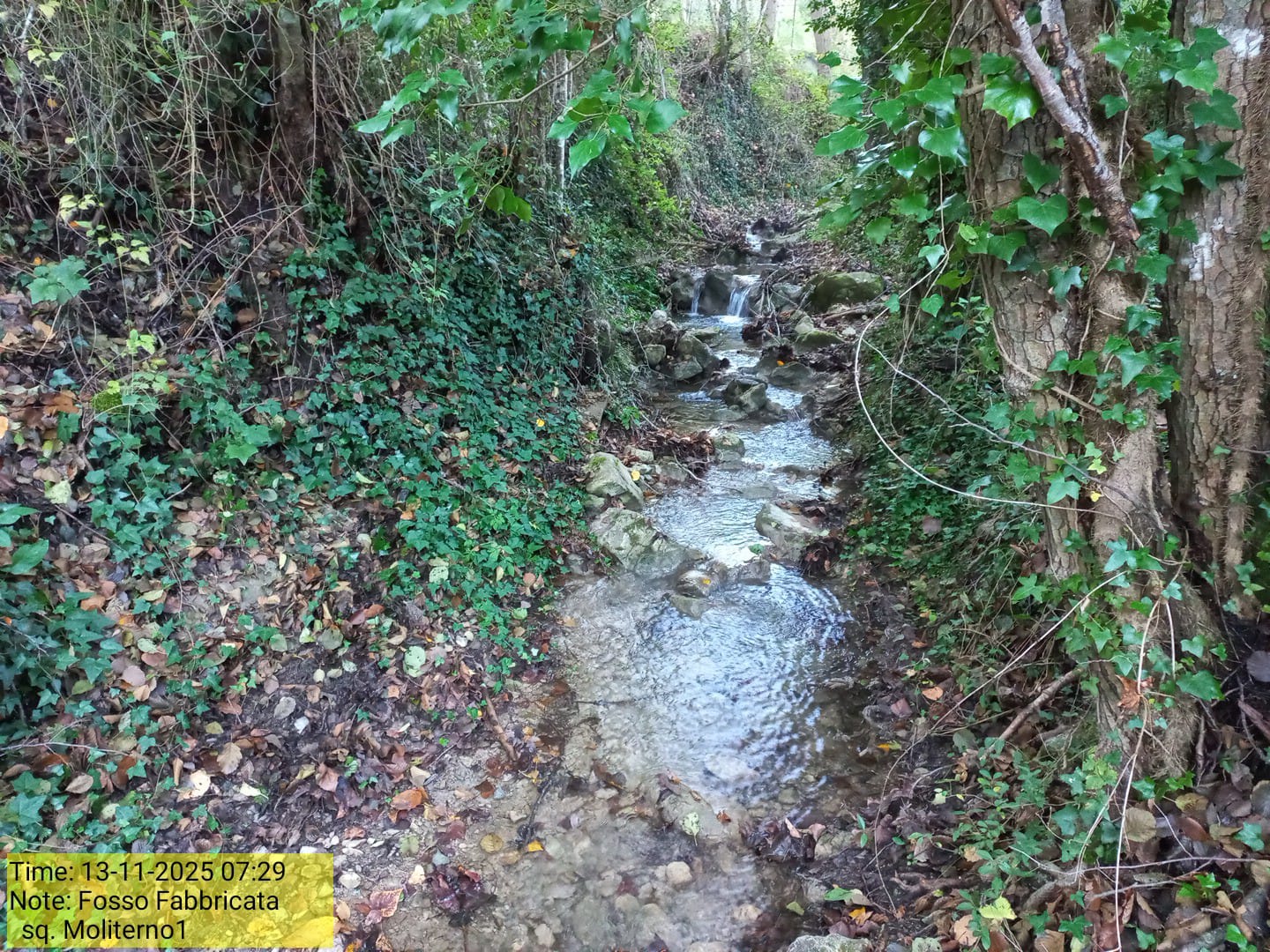 Galleria Fotografica Immagine