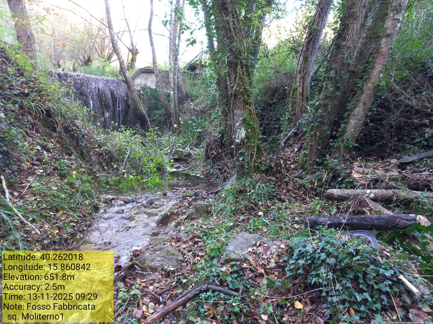 Galleria Fotografica Immagine