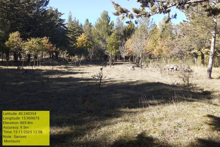 Galleria Fotografica Immagine