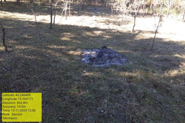 Galleria Fotografica Immagine