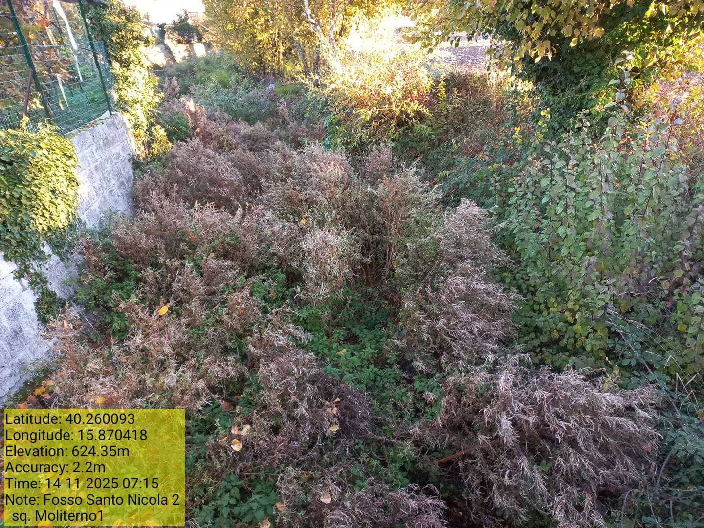 Galleria Fotografica Immagine