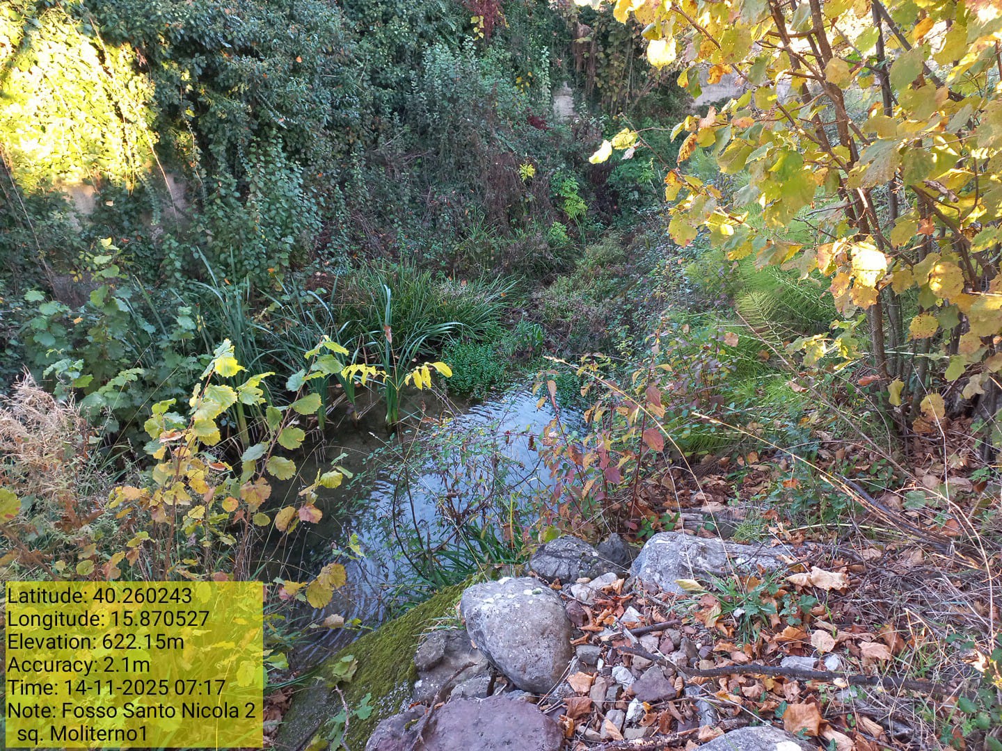 Galleria Fotografica Immagine