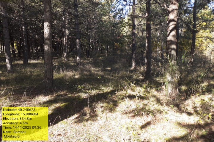 Galleria Fotografica Immagine