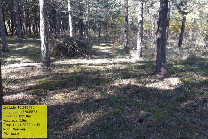 Galleria Fotografica Immagine