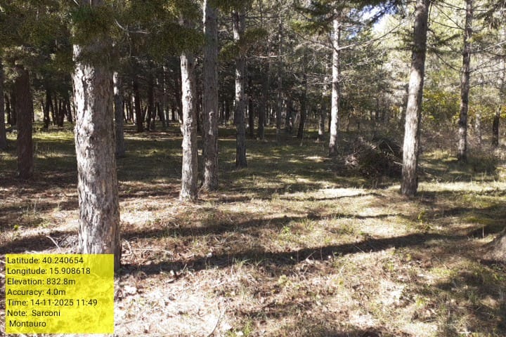 Galleria Fotografica Immagine