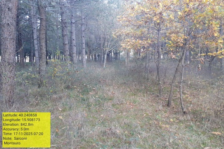 Galleria Fotografica Immagine