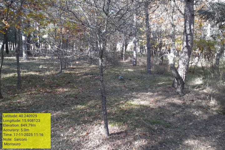 Galleria Fotografica Immagine