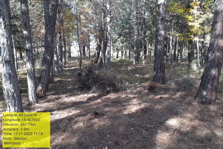 Galleria Fotografica Immagine