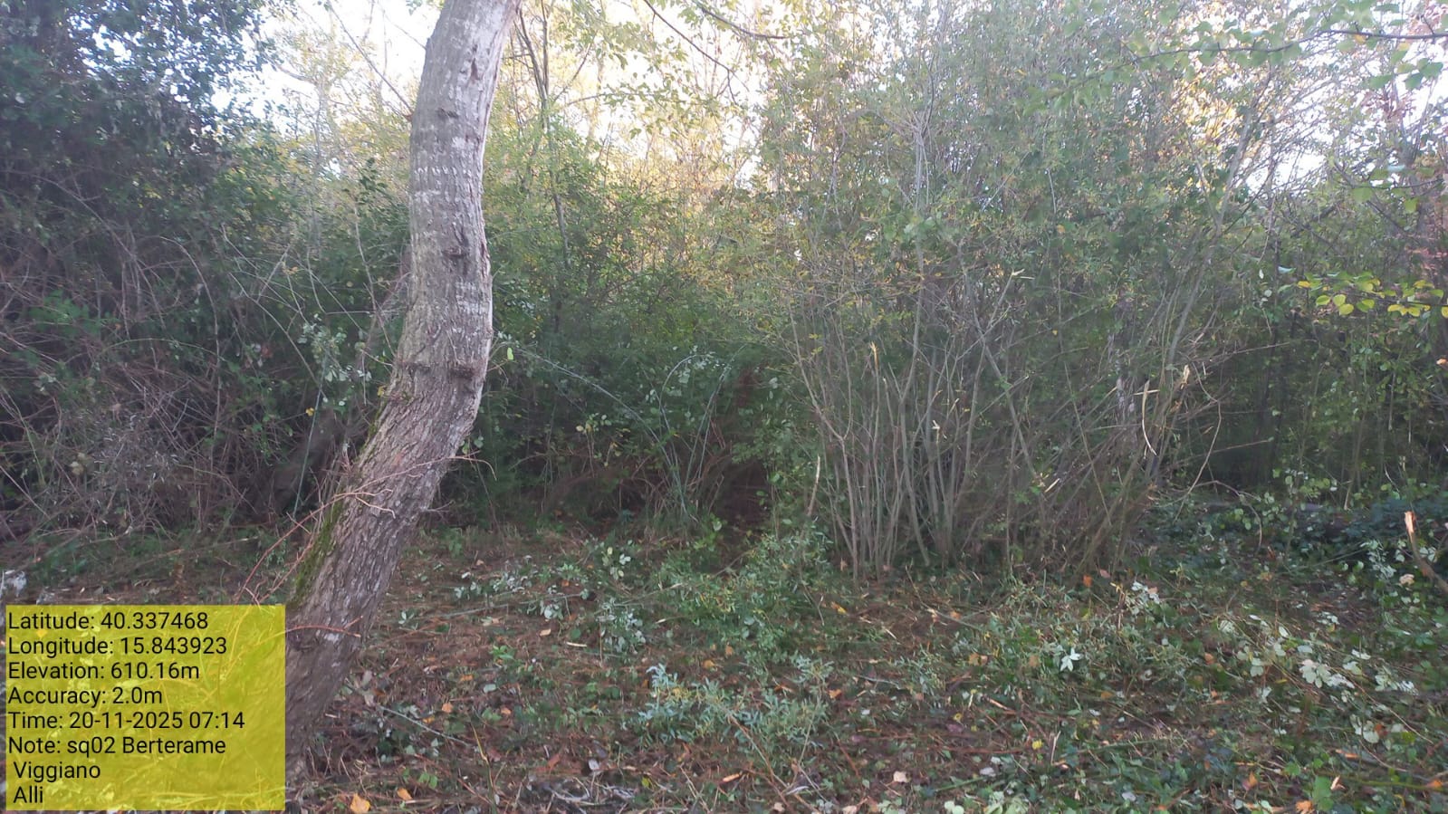 Galleria Fotografica Immagine