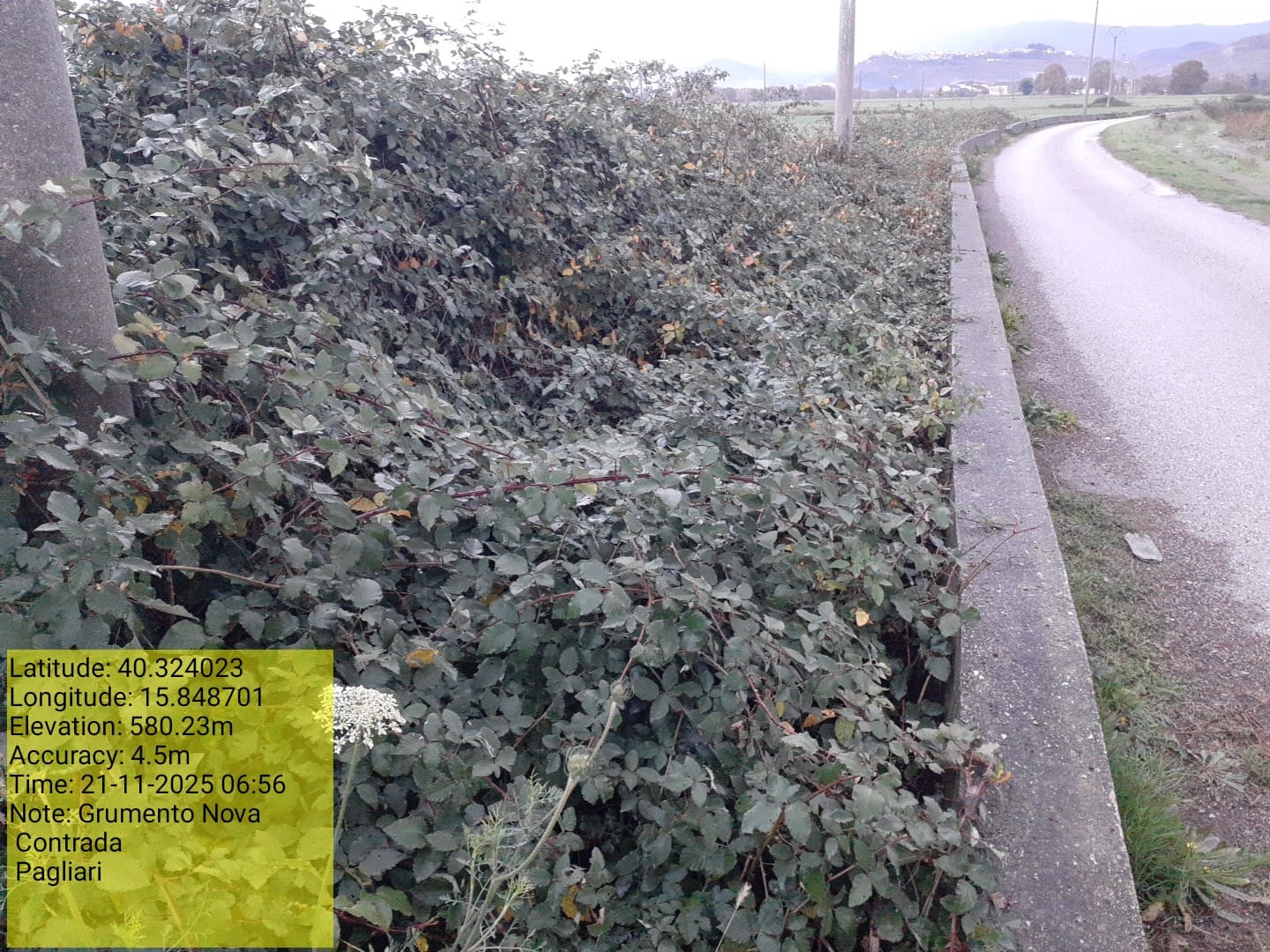 Galleria Fotografica Immagine