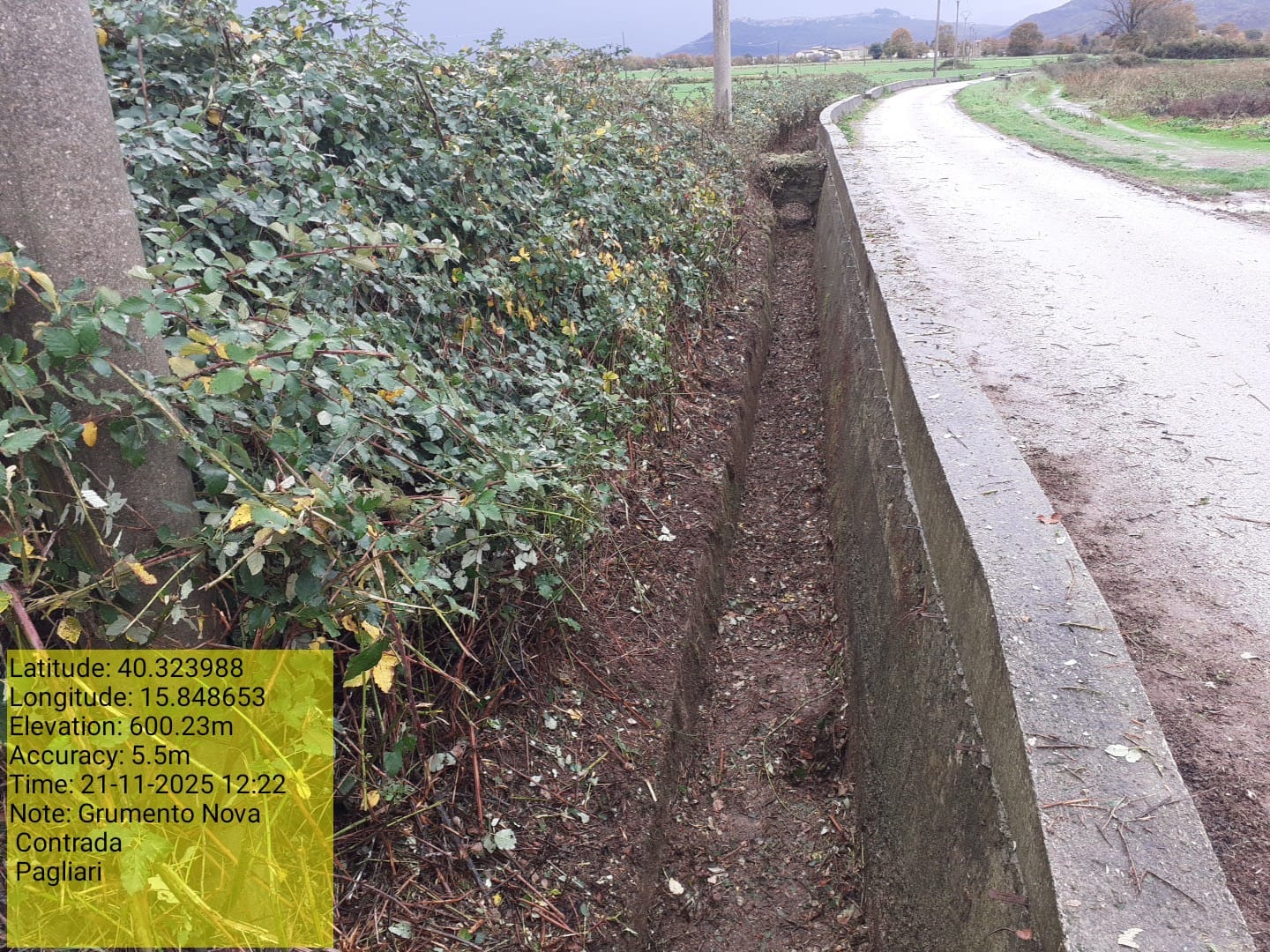 Galleria Fotografica Immagine