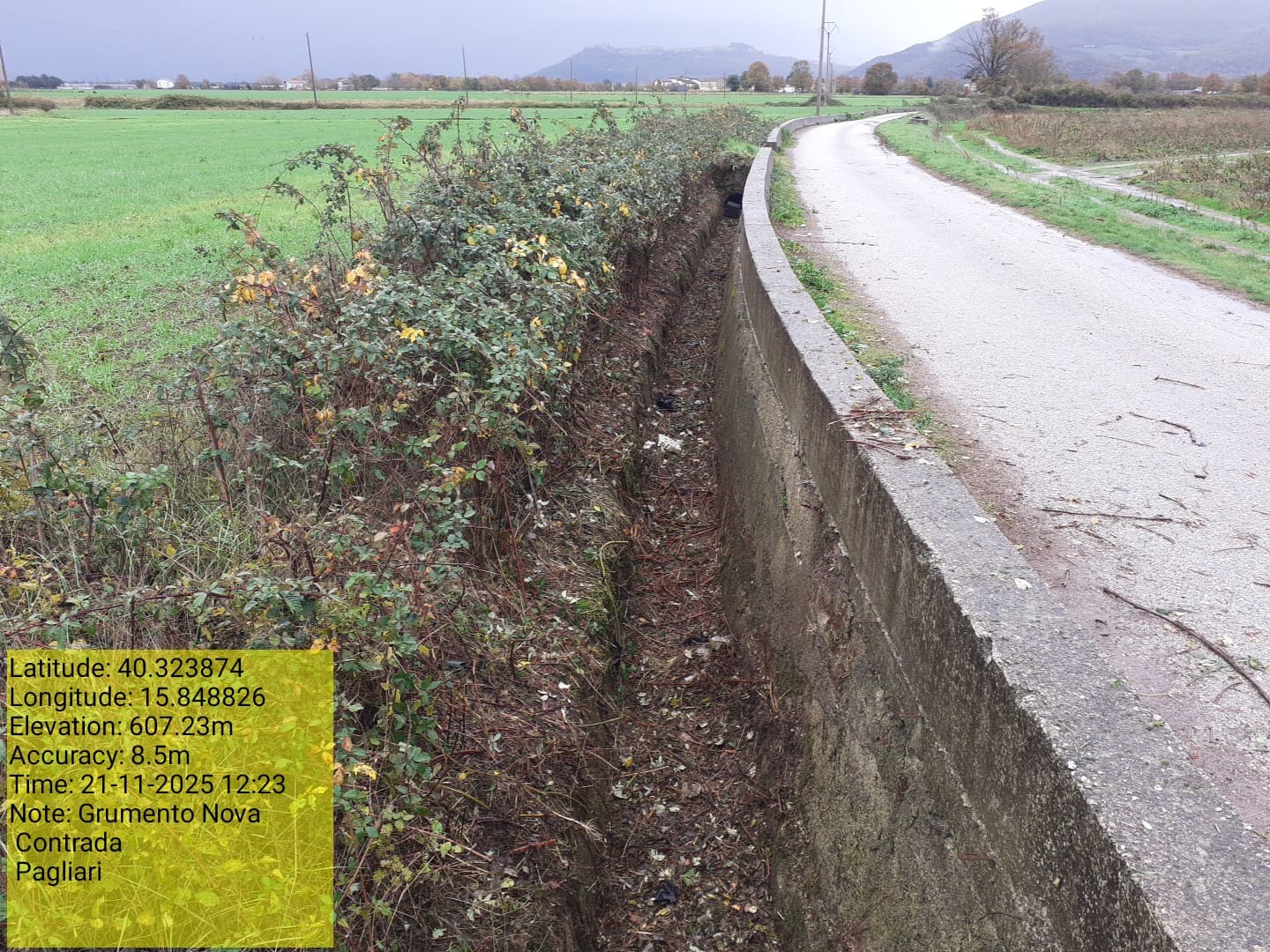 Galleria Fotografica Immagine