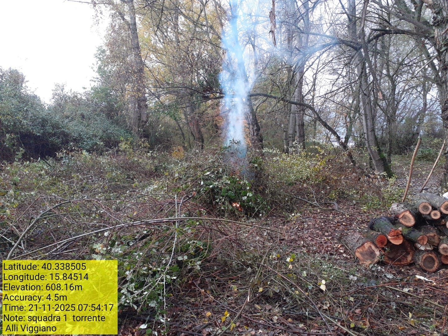 Galleria Fotografica Immagine