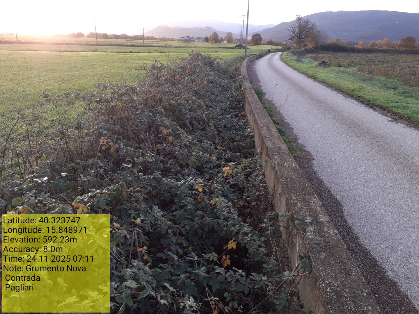 Galleria Fotografica Immagine