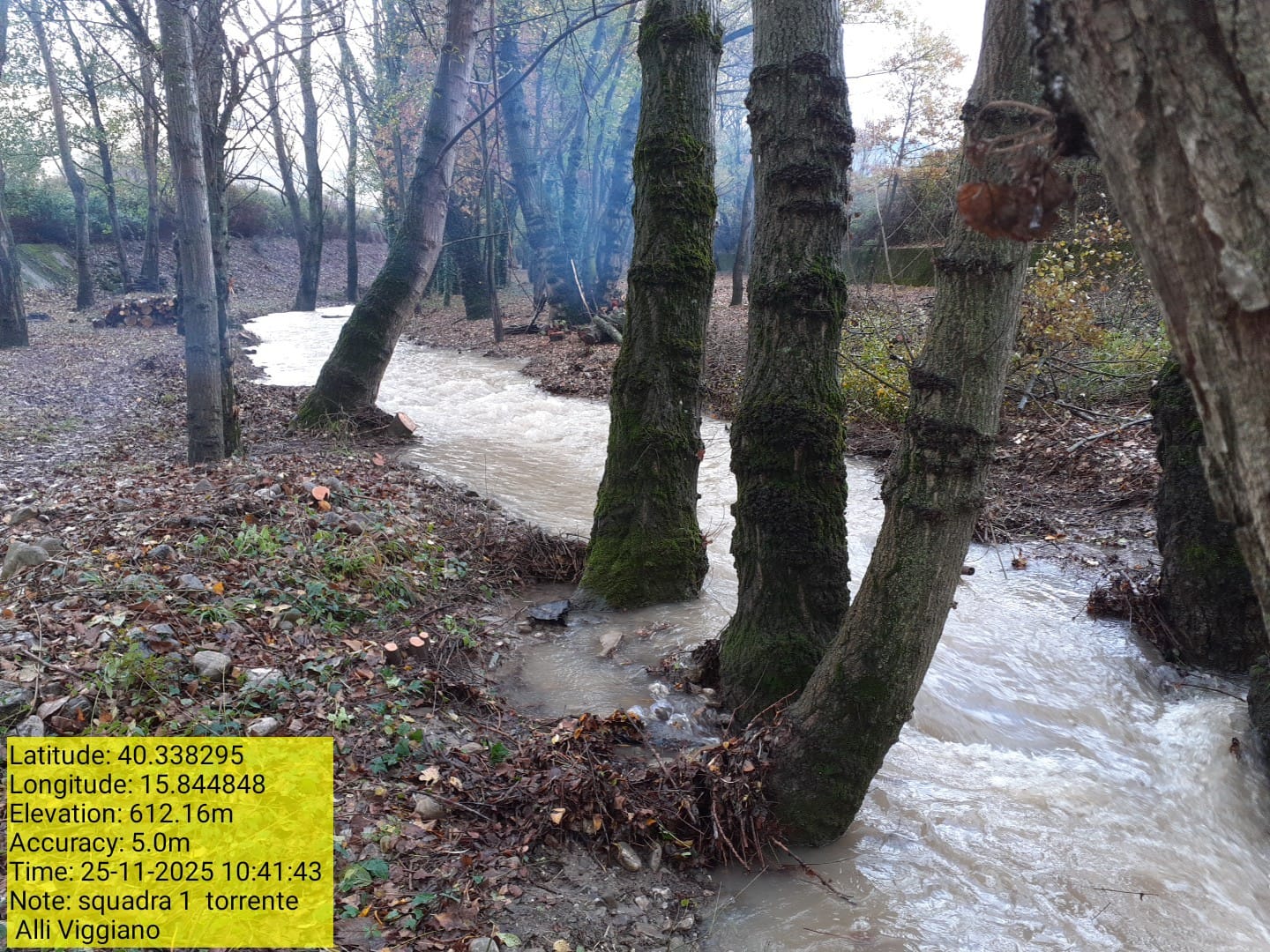 Galleria Fotografica Immagine