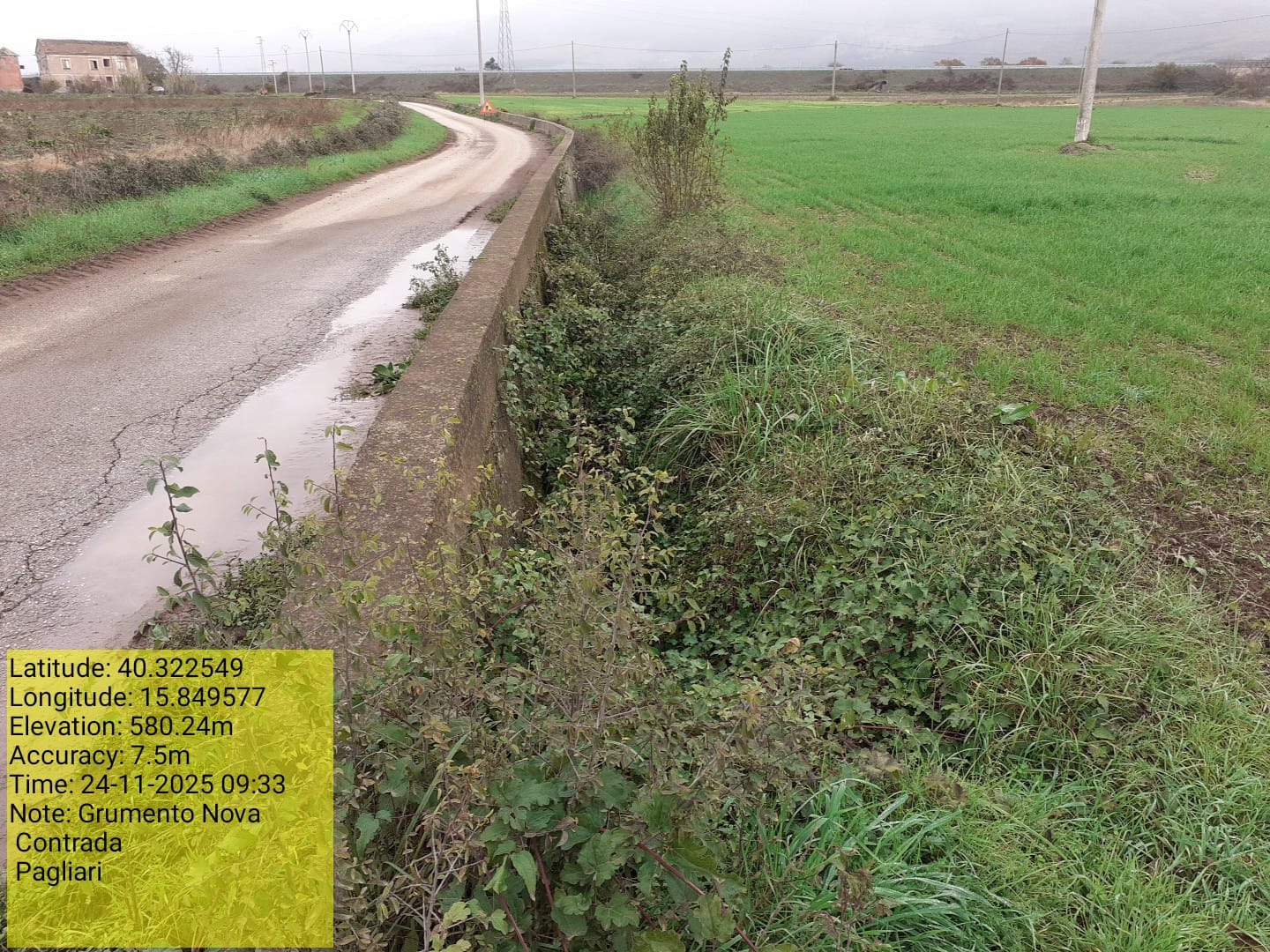 Galleria Fotografica Immagine