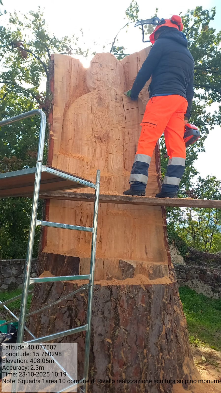 Galleria Fotografica Immagine