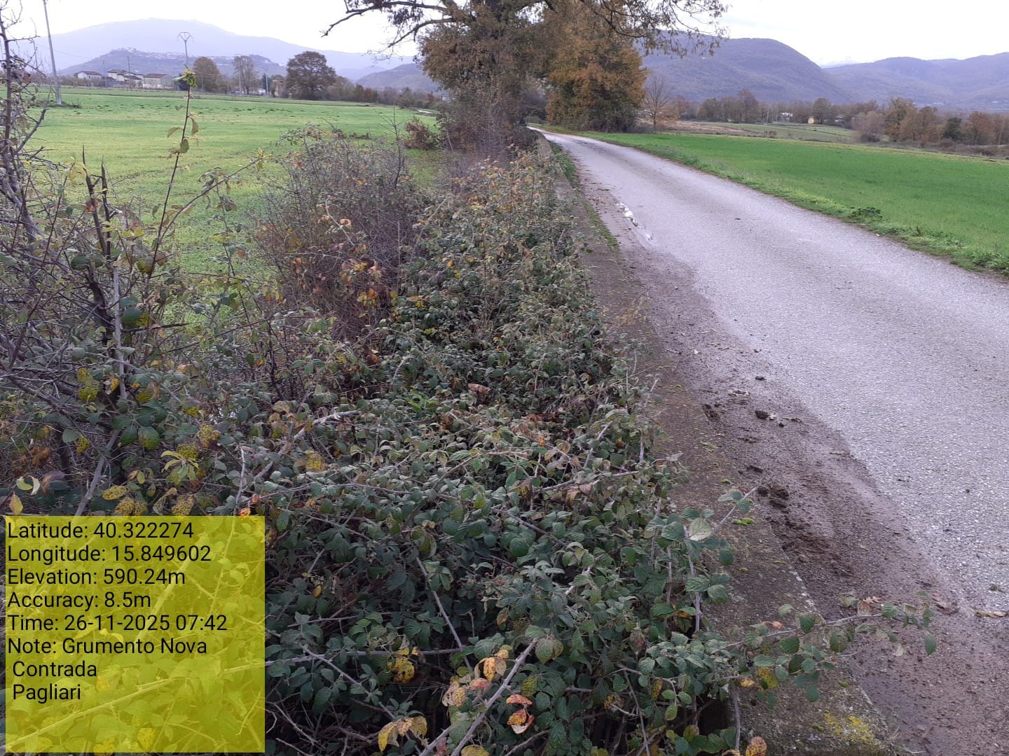 Galleria Fotografica Immagine