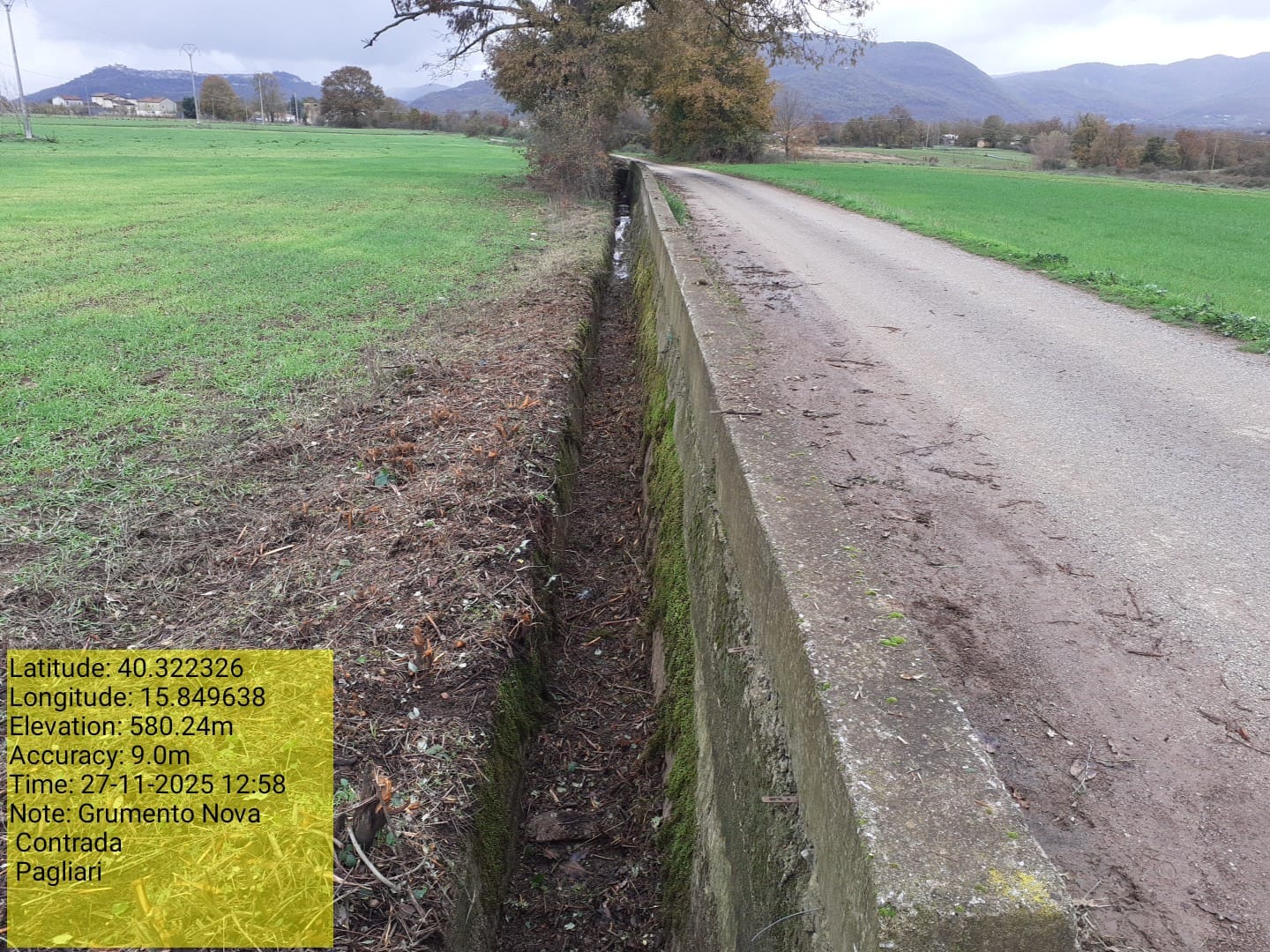 Galleria Fotografica Immagine