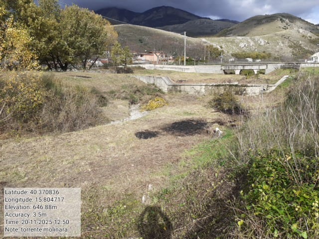 Galleria Fotografica Immagine