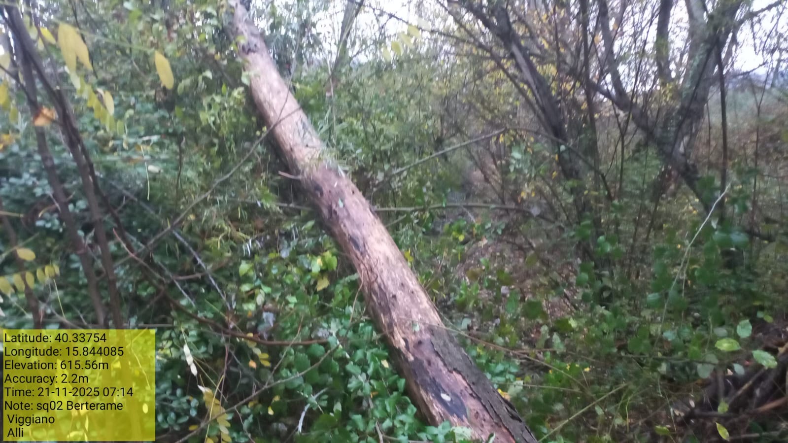 Galleria Fotografica Immagine