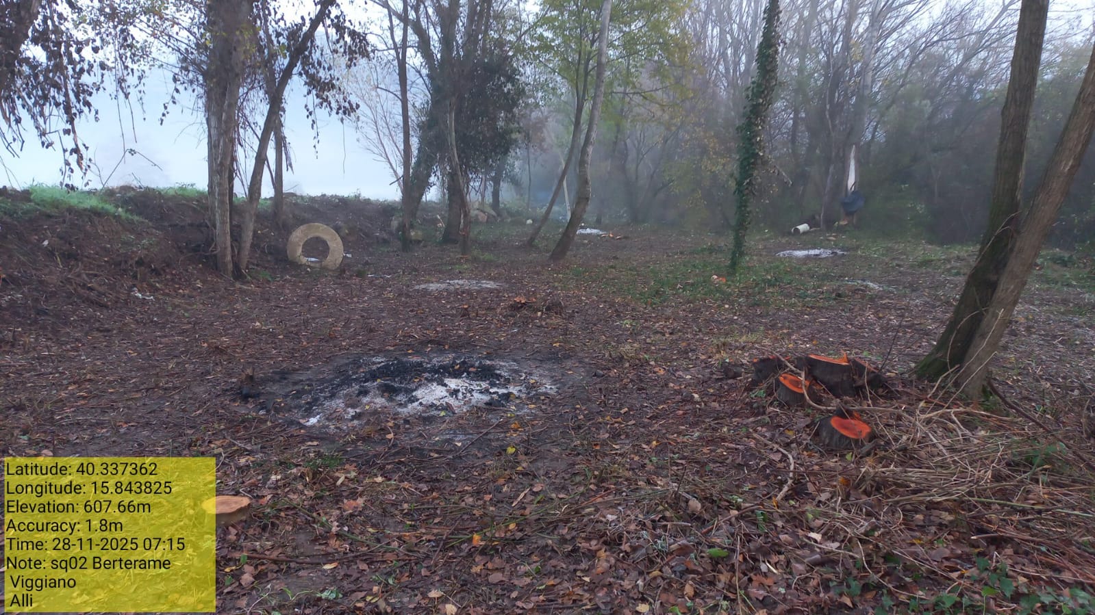 Galleria Fotografica Immagine