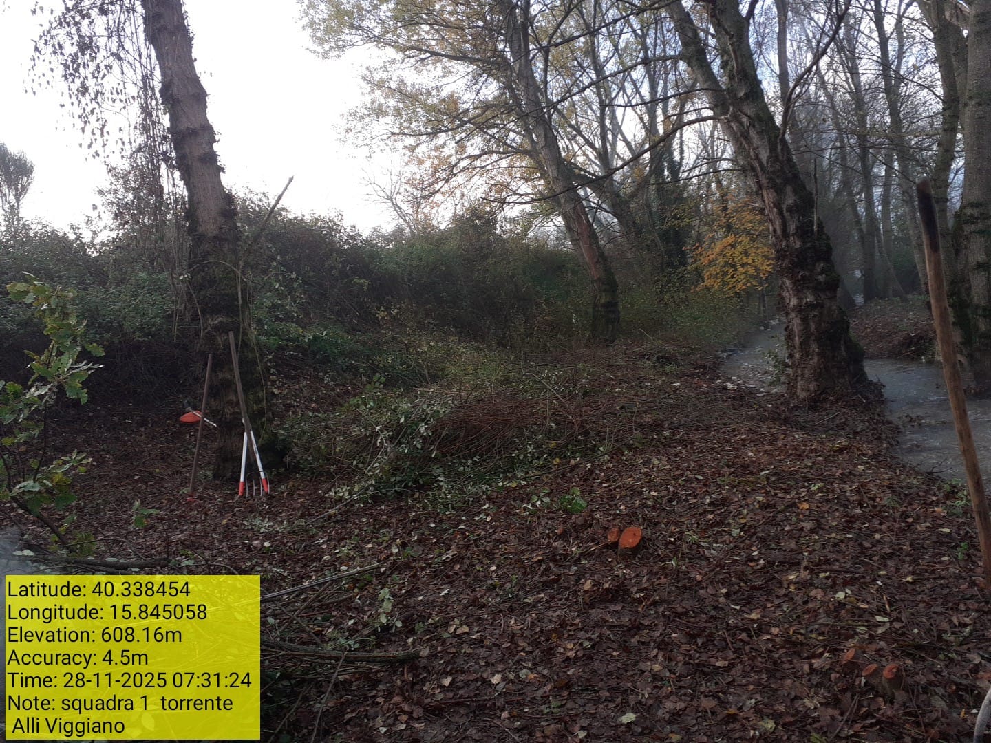 Galleria Fotografica Immagine