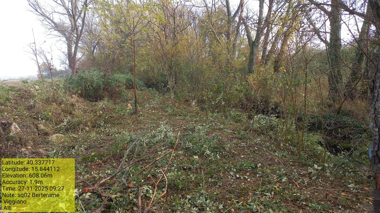 Galleria Fotografica Immagine