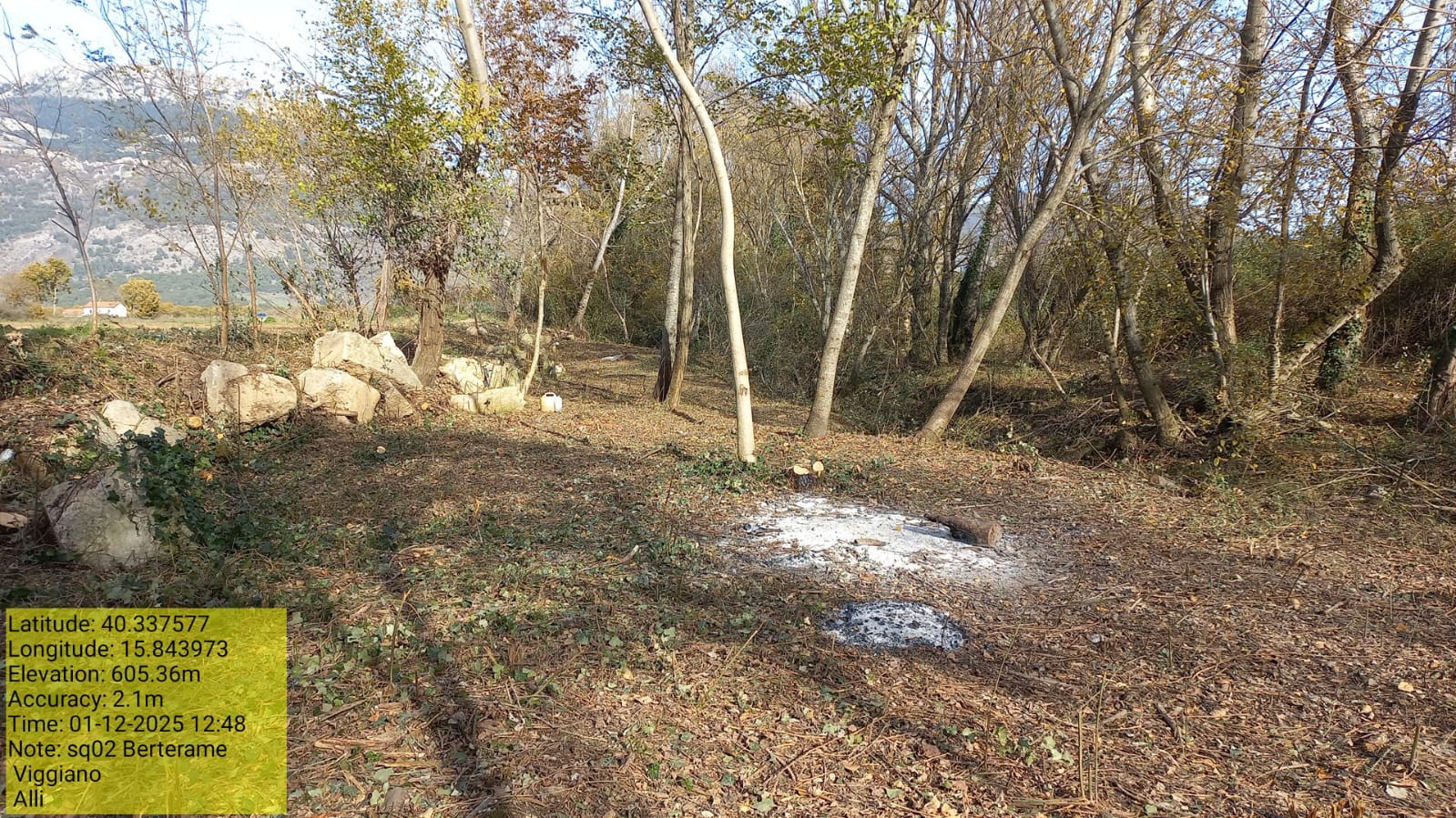 Galleria Fotografica Immagine