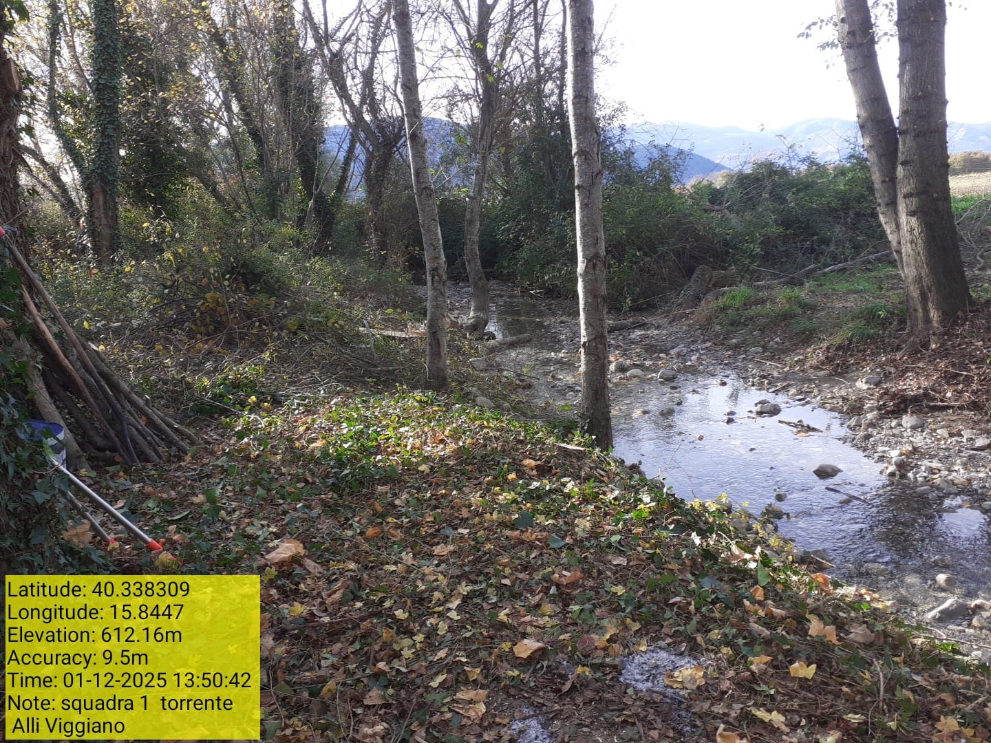 Galleria Fotografica Immagine