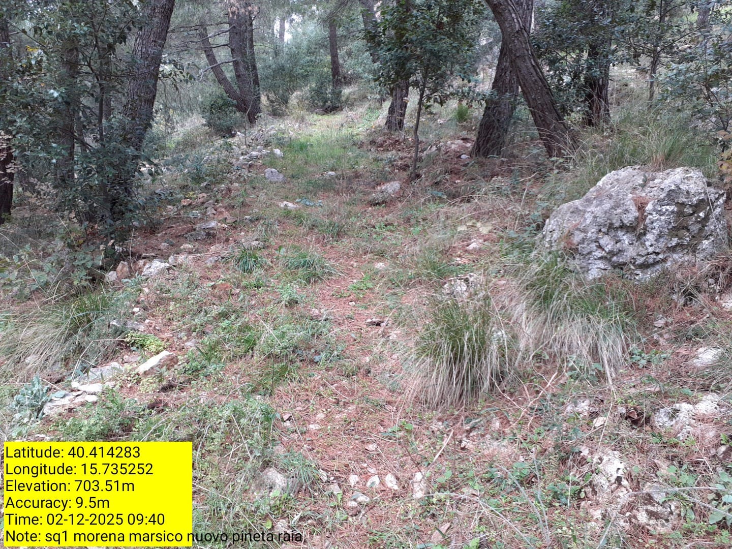 Galleria Fotografica Immagine