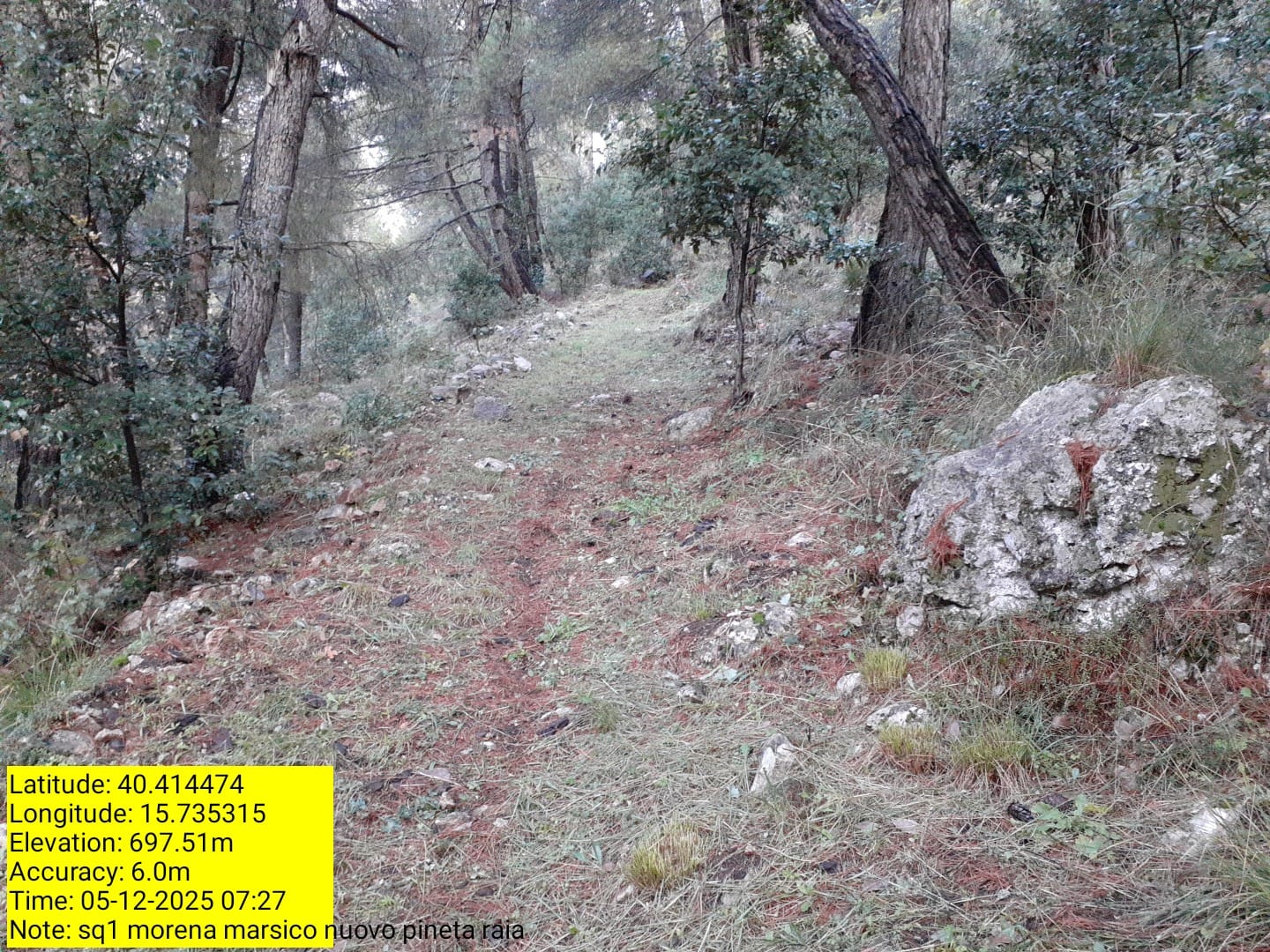 Galleria Fotografica Immagine