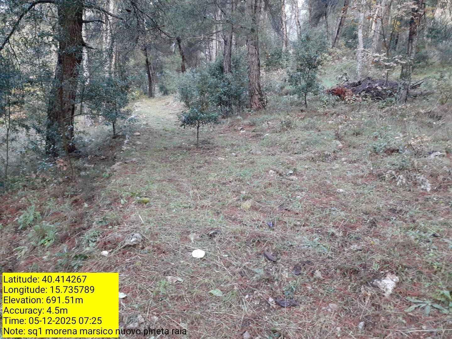 Galleria Fotografica Immagine