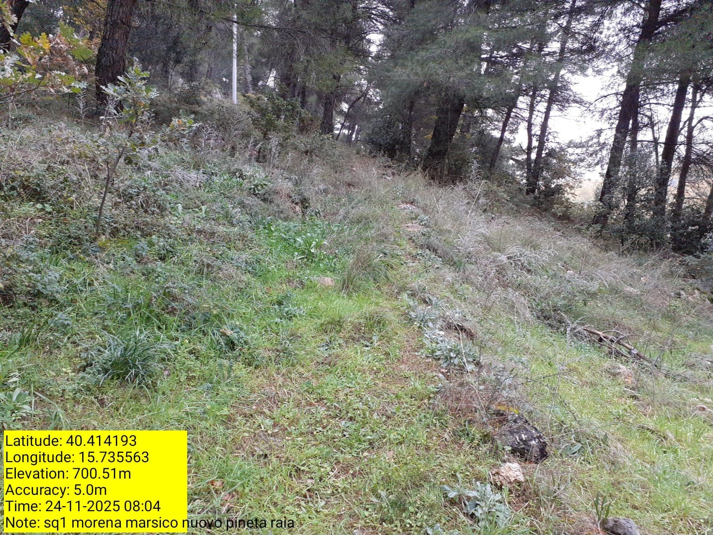 Galleria Fotografica Immagine