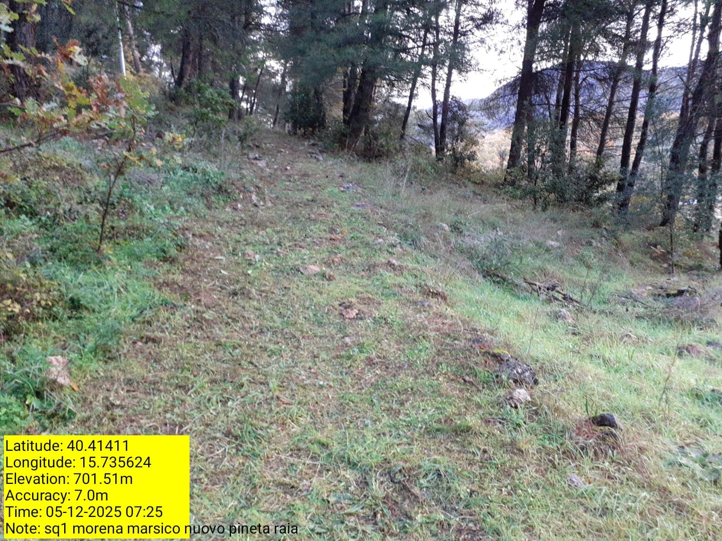 Galleria Fotografica Immagine