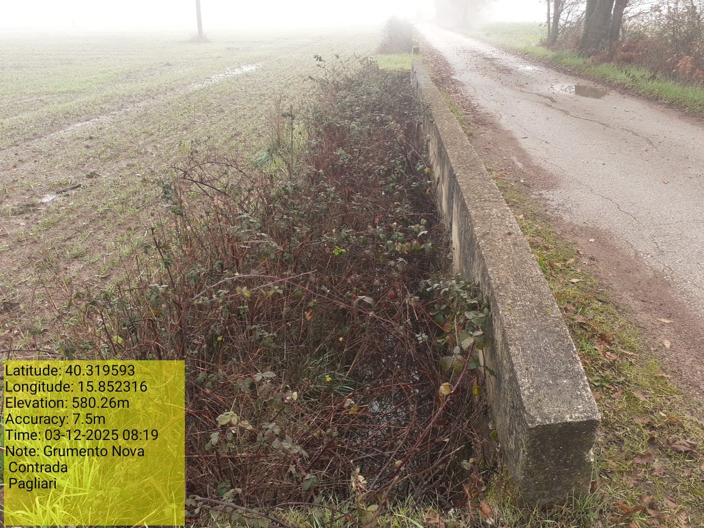 Galleria Fotografica Immagine